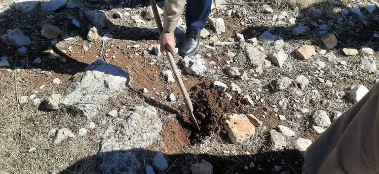 «دالاهو» سرزمین ظرفیتهای ناب