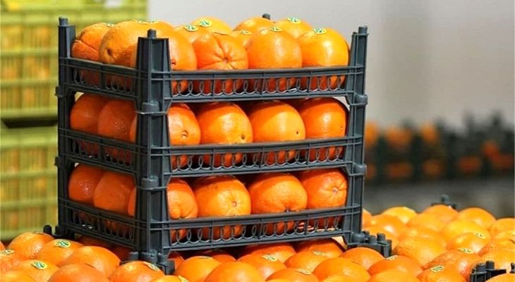 عرضه مستقیم میوه شب عید در کرمانشاه