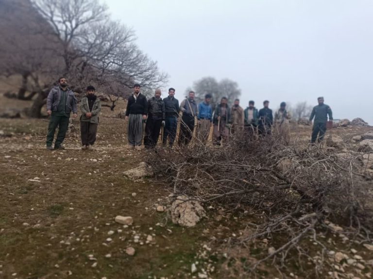 پویش مردمی مقابله با آفت “لورانتوس” در جنگلهای دالاهو