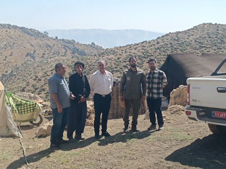 کنترل چرای دام در مرتع خوریله دالاهو